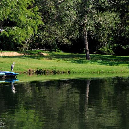 Magnolia Springs Bed And Breakfast エクステリア 写真