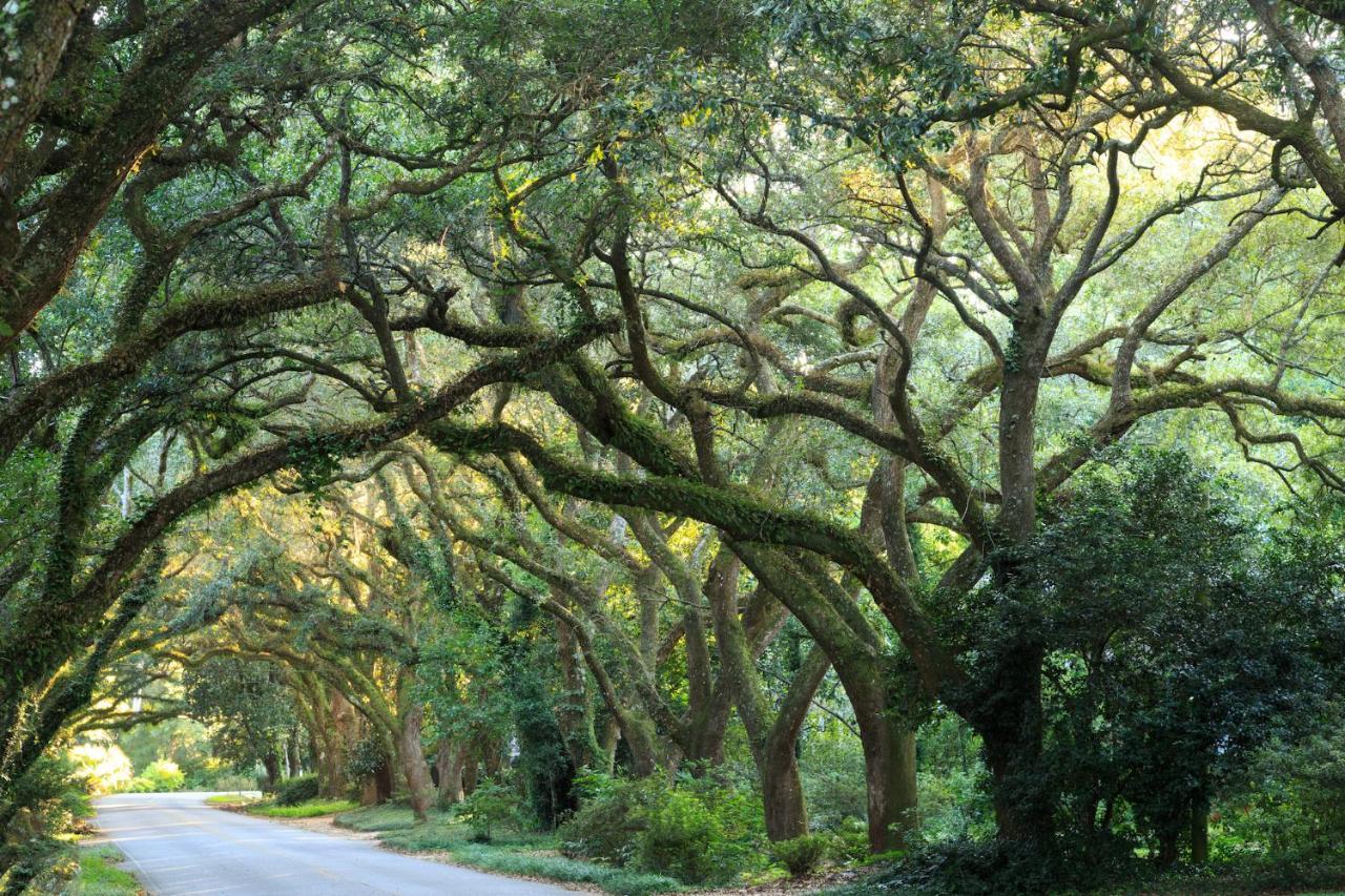 Magnolia Springs Bed And Breakfast エクステリア 写真